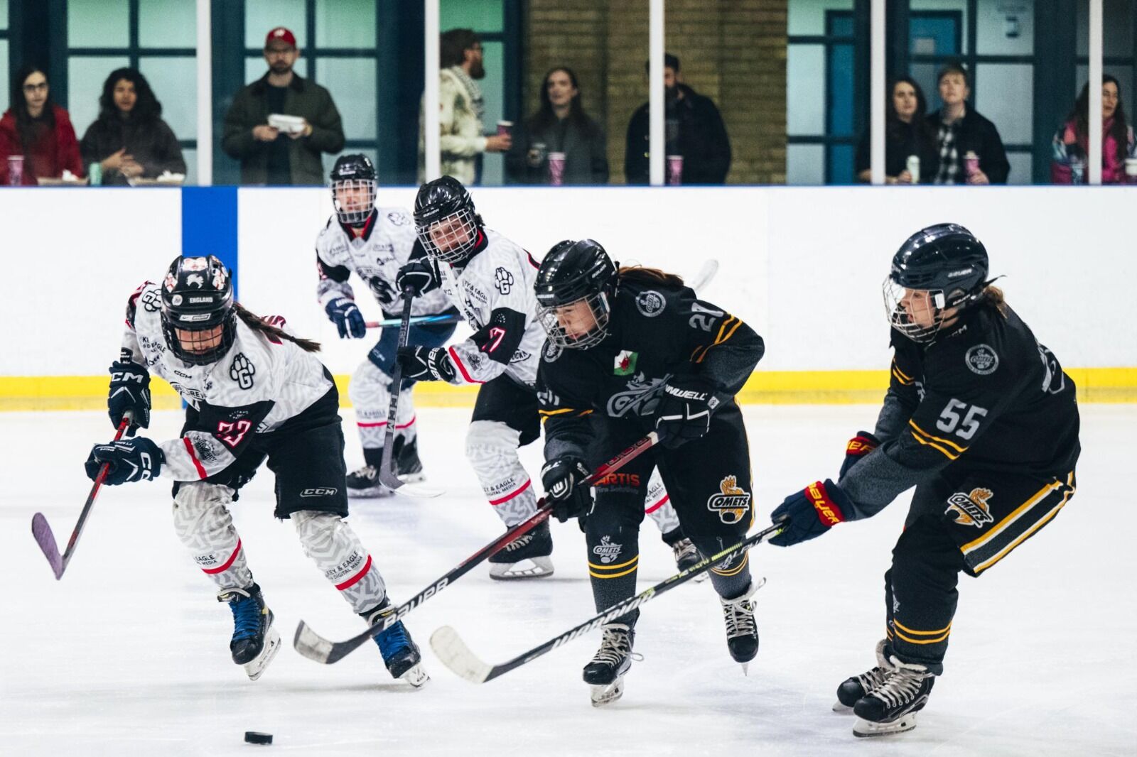 Women's ice hockey players chasing the puck mid-game